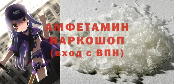 молекула духа Богородицк