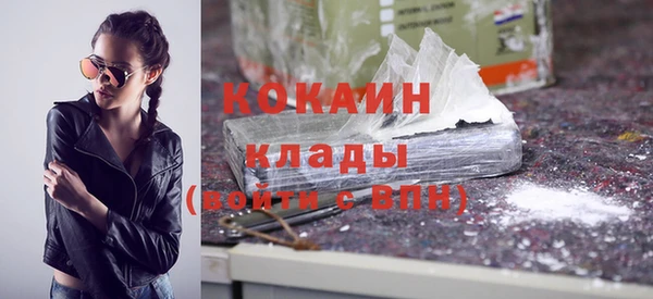 молекула духа Богородицк